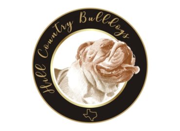 Hill Country Bull-Dogs Logo Design