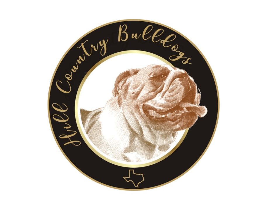 Hill Country Bull-Dogs Logo Design