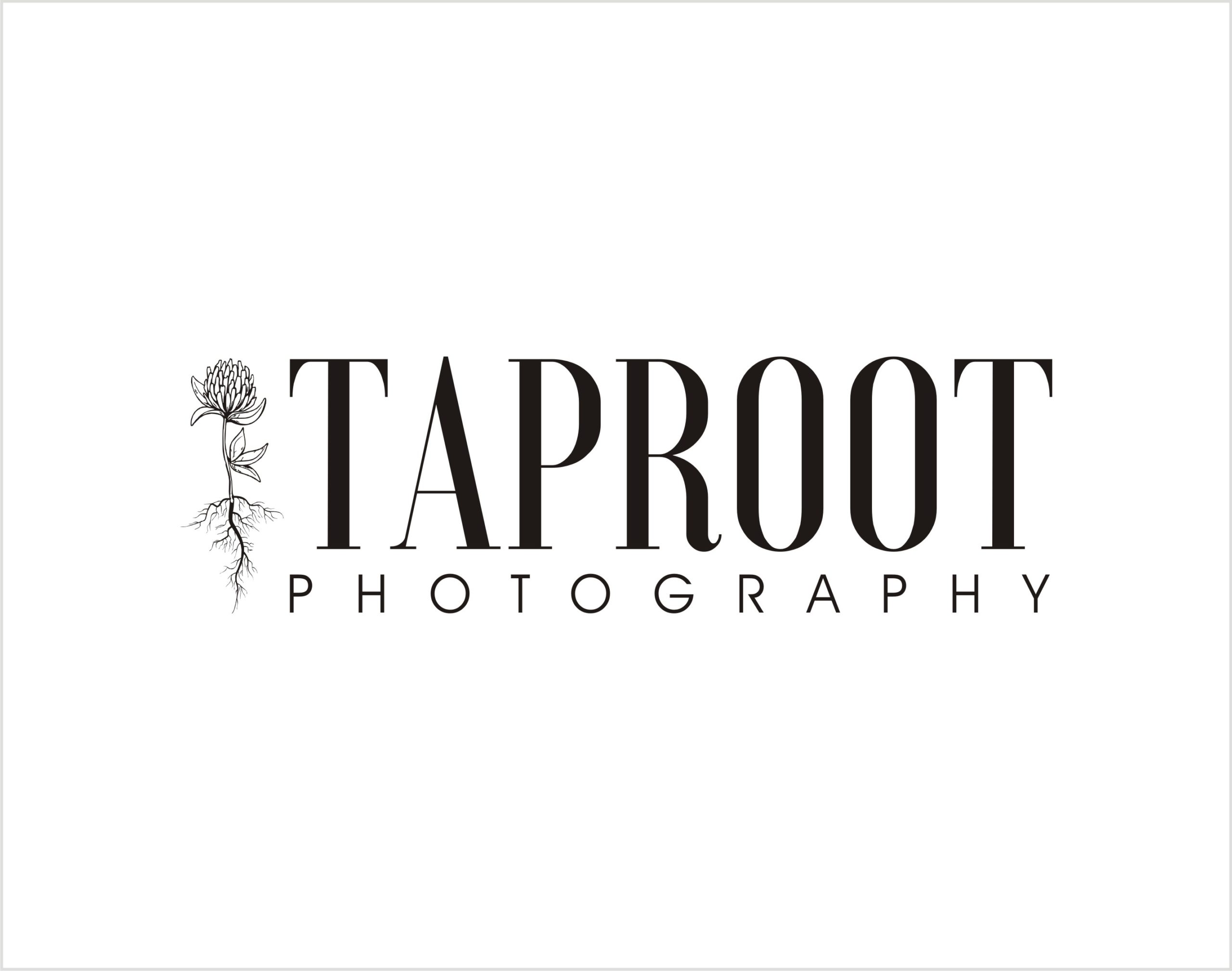 Taproot Photography Logo Design