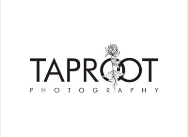 Taproot Photography 3 Logo Design