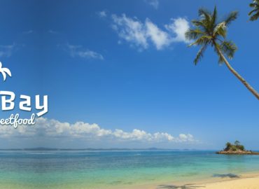 Palm Bay Caribbean Case Study