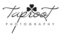 Taproot-Photography